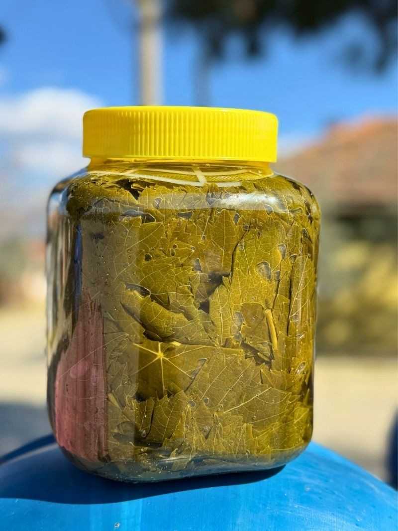 Salamura Asma Yaprak 3'lük Bidon